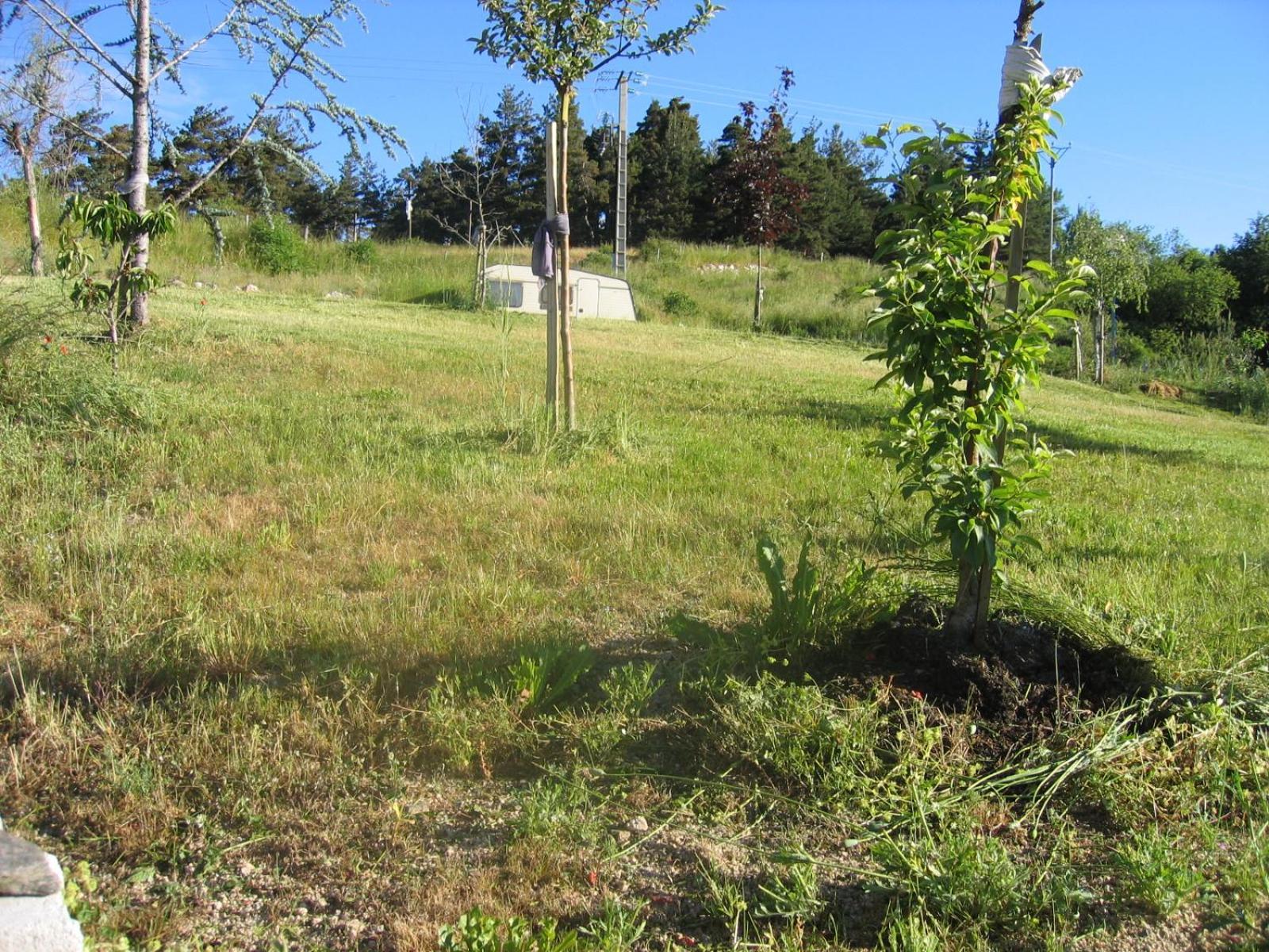Lozere Aubrac Margeride Promo Apartment Saint-Alban-sur-Limagnole Екстериор снимка